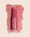 Румяна-стик для лица Pierre Rene Blush Me №04 Blush Mauve, 10.5 г 5754 фото 2