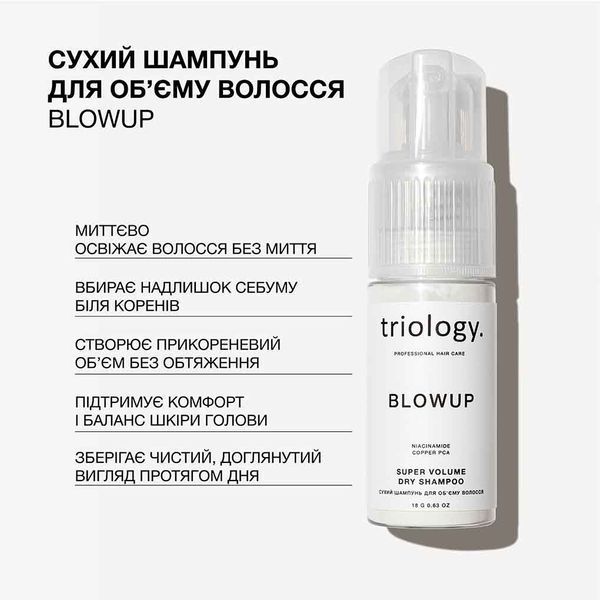 Сухий шампунь для об'єму волосся Triology. Blowup, 18 г 6611 фото