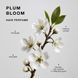 Парфумована вода для волосся Triology. Plum Bloom, 30 мл 6626 фото 3